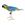 11677   3-D Paper Model Papegøye Parrot, Fridolin