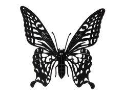 11607  11607 3-D Paper Model sommerfugl Butterfly, Fridolin