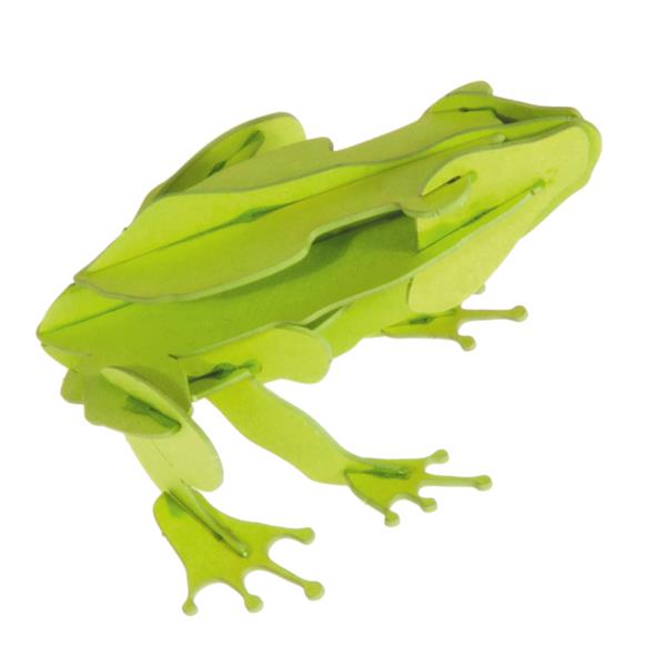 11609  11609 3-D Paper Model frosk Frog, Fridolin