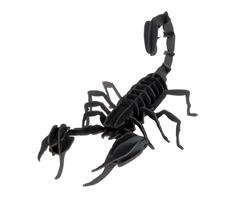 11604  11604 3-D Paper Model skorpion Scorpion, Fridolin