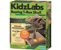 8503399 4M 00-03399 Aktivitetspakke, Roaring T-Rex Skull Kidz Labs, 4M