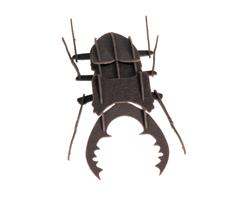 11606  11606 3-D Paper Model bille Beetle, Fridolin